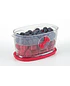 Conservador de Berries - Image 5