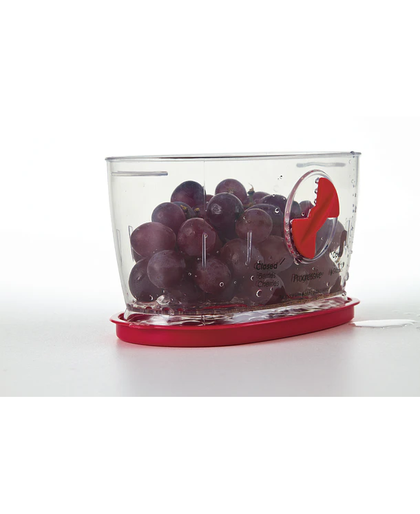 Conservador de Berries