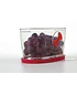 Conservador de Berries - Image 6