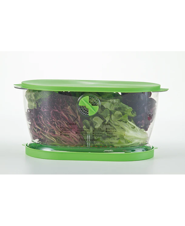 Conservador de Frutas y Verduras | L