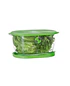 Conservador de Frutas y Verduras | L - Image 7