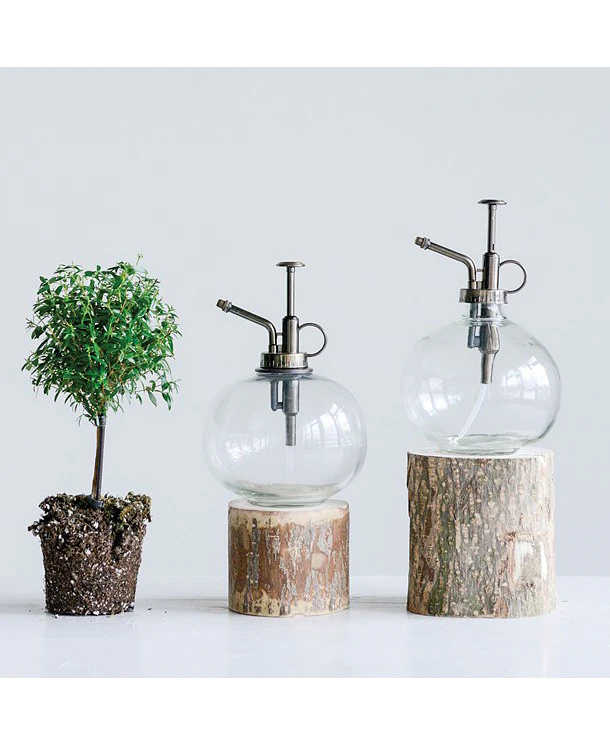 Rociador de Plantas | Vidrio L