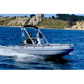  Lancha HDPE Whaly 380, PARSUN 20 HP y carro de arrastre