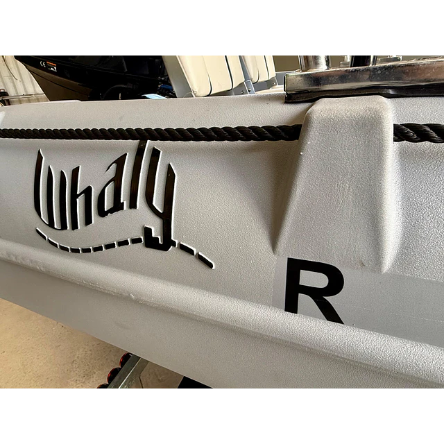  Lancha HDPE Whaly 435R PRO, 40 HP y carro de arrastre.