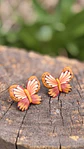 Aro Mariposa Little - Miniatura 1