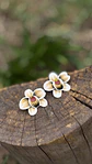 Aro Orquidea Champagne - Miniatura 4