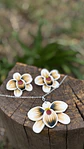Conjunto Orquidea Champagne  - Miniatura 5