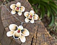 Conjunto Orquidea Champagne  - Miniatura 6