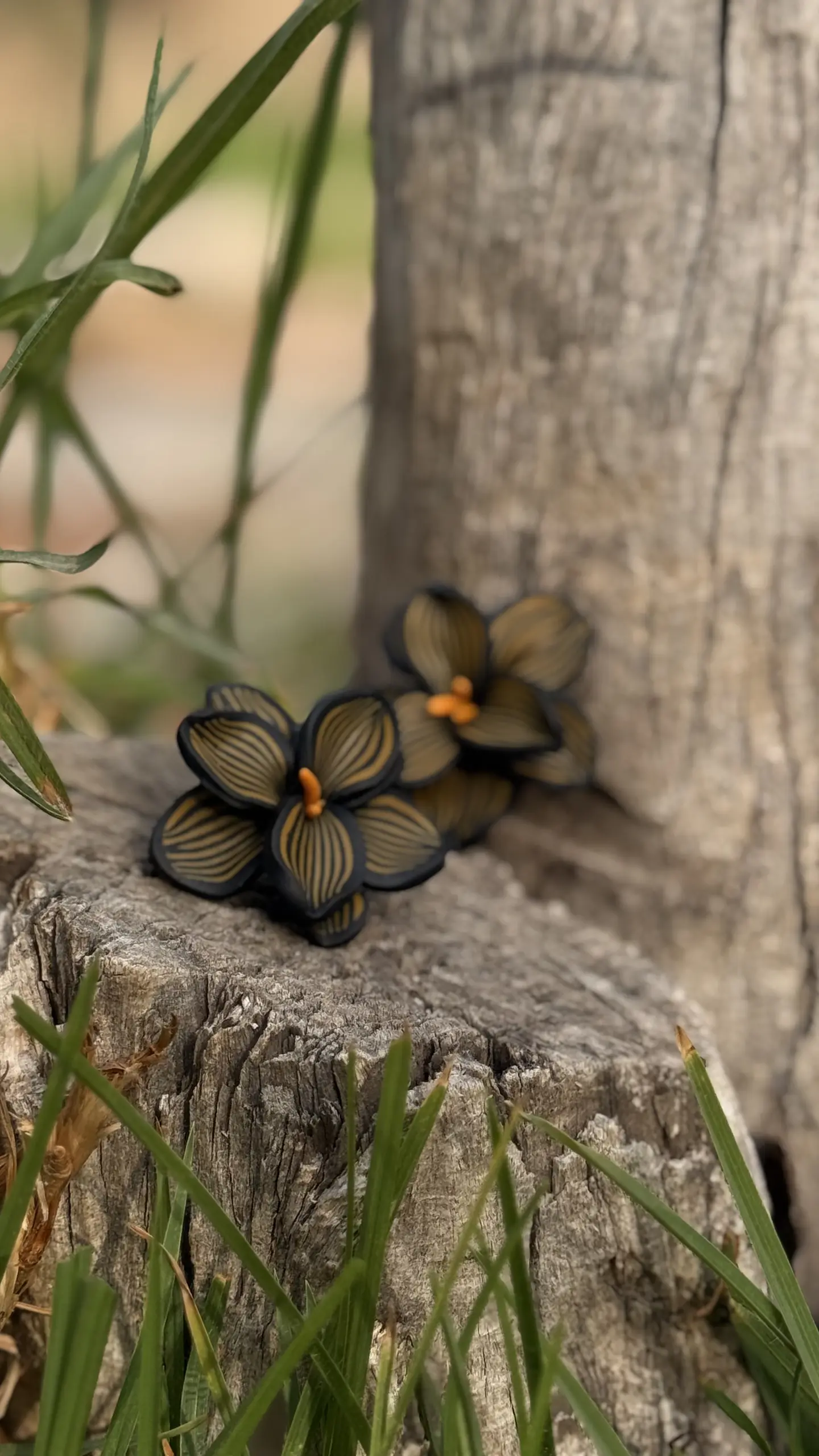 Aro Orquidea Dark 3