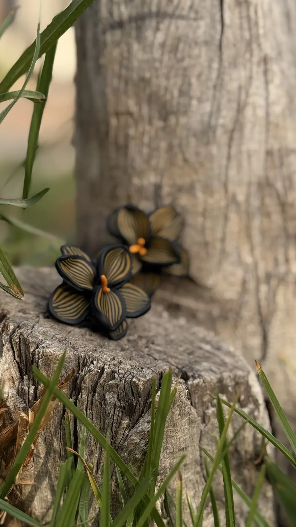 Aro Orquidea Dark 4