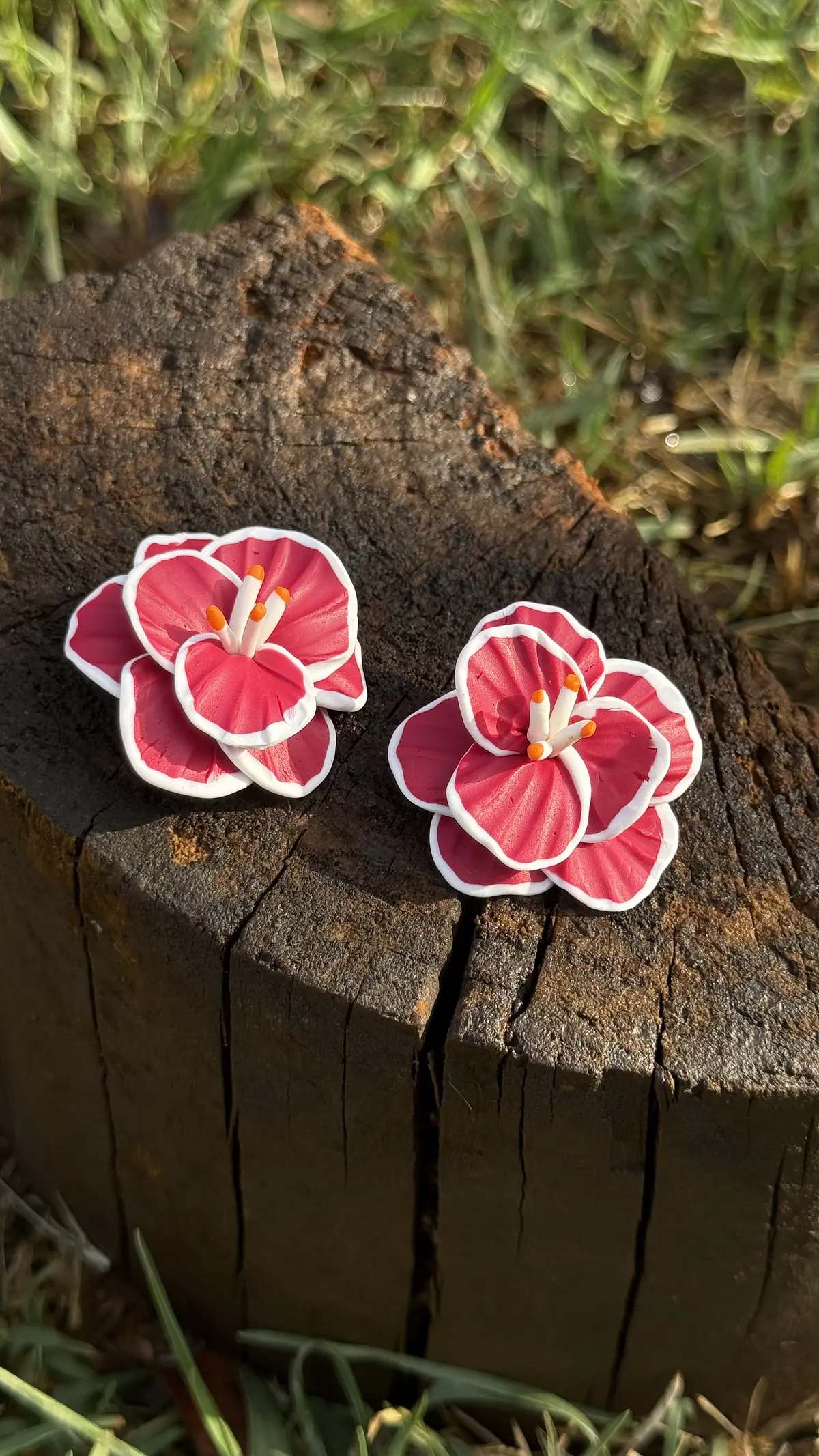 Orquídeas 