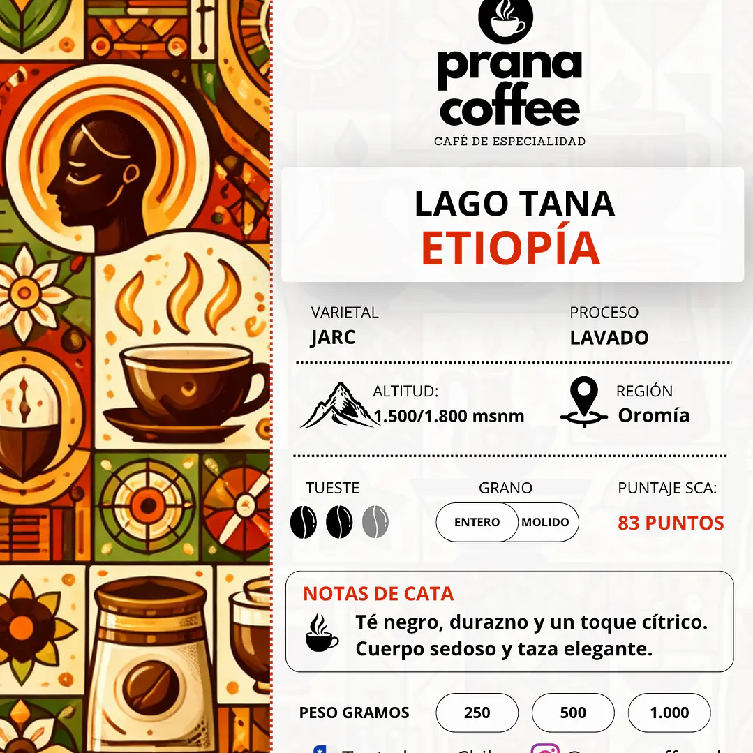 Café de Especialidad Lago Tana, Etiopía 100% Arábico - 1 Kilo 3