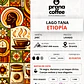 Café de Especialidad Lago Tana, Etiopía 100% Arábico - 1 Kilo - Miniatura 3