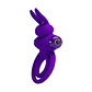 Anillo Vibrador Rabbit III Purpura - Miniatura 4
