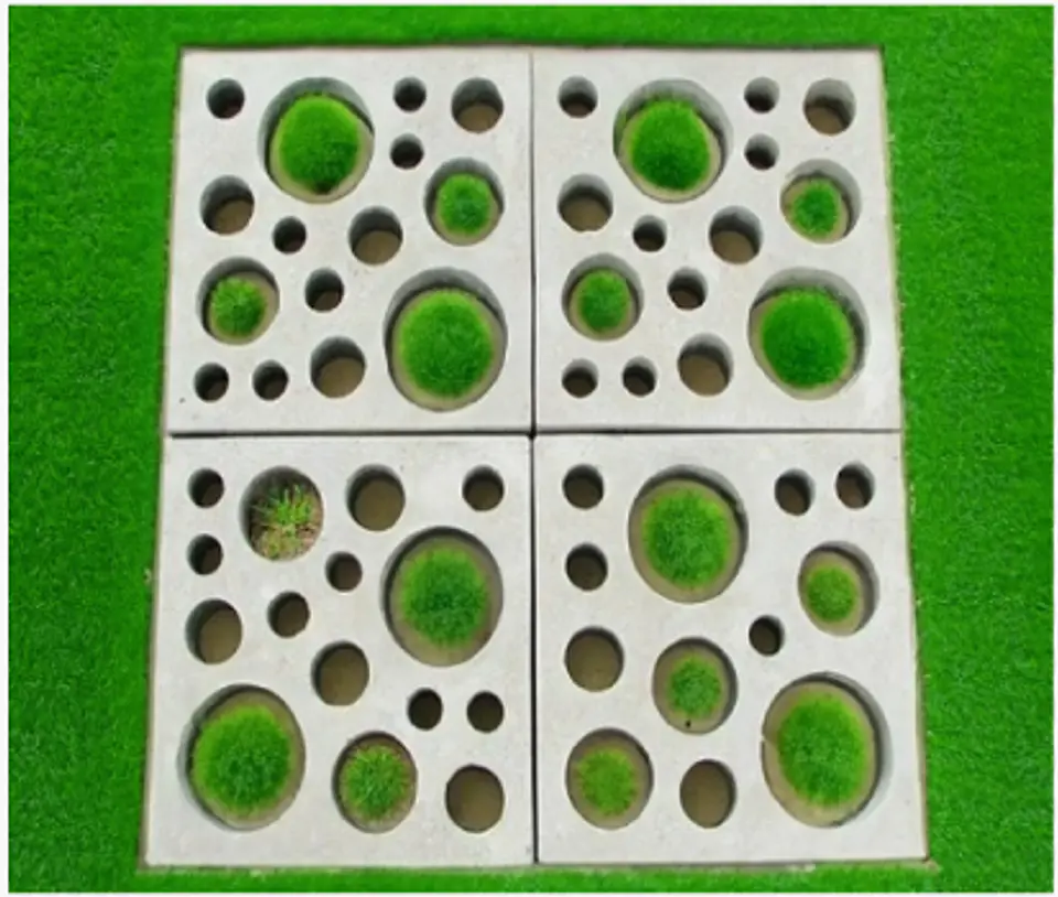 Título: Adoquín de Concreto Decorativo 50x50x8 para Espacios Públicos - Prepeniel 2
