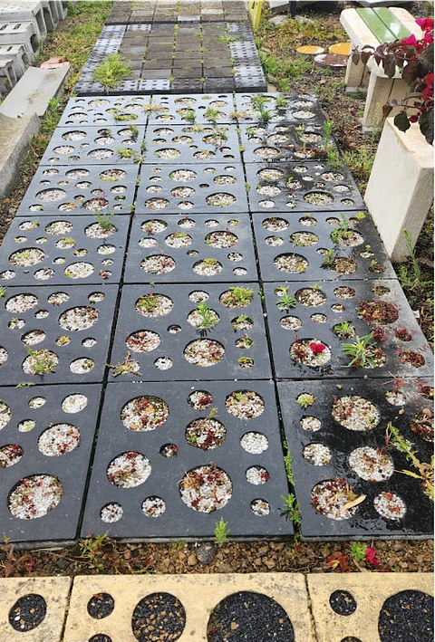 Título: Adoquín de Concreto Decorativo 50x50x8 para Espacios Públicos - Prepeniel
