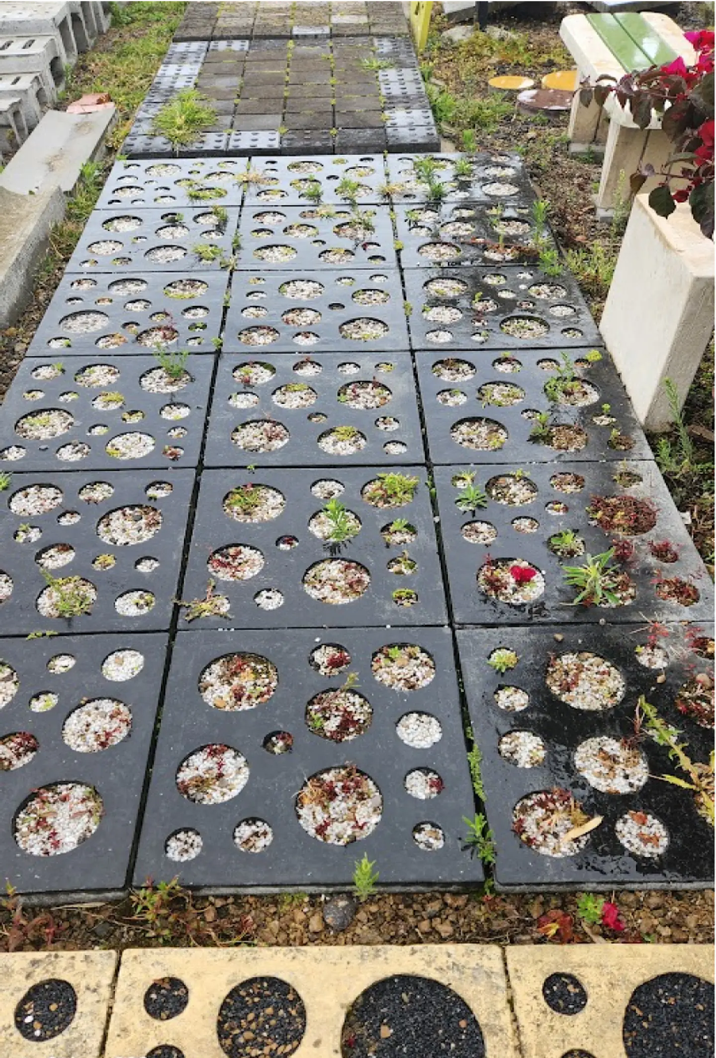 Título: Adoquín de Concreto Decorativo 50x50x8 para Espacios Públicos - Prepeniel 1