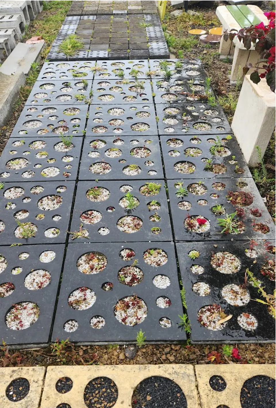 Título: Adoquín de Concreto Decorativo 50x50x8 para Espacios Públicos - Prepeniel 1