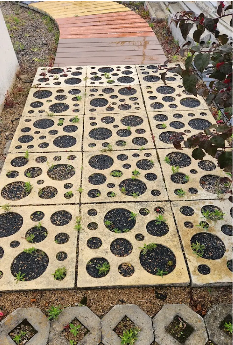 Título: Adoquín de Concreto Decorativo 50x50x8 para Espacios Públicos - Prepeniel 3