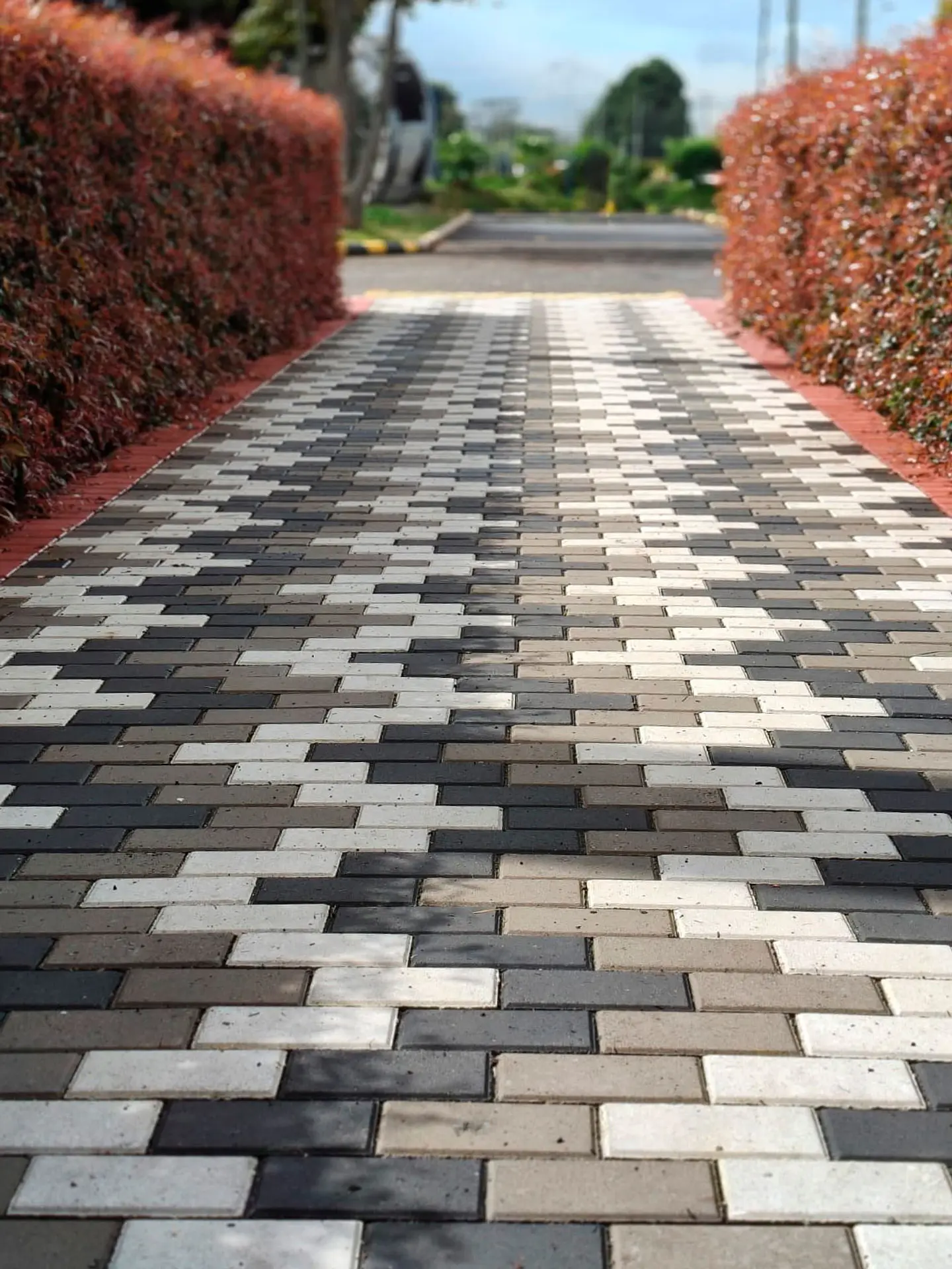 Adoquín para Tráfico Peatonal Gris AR-6 - Prepeniel.  1