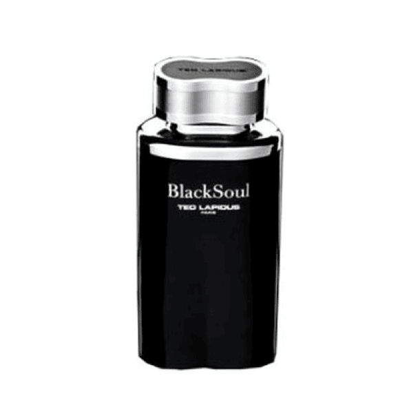 TED LAPIDUS BLACK SOUL MEN EDT 100ML PERFUME 2