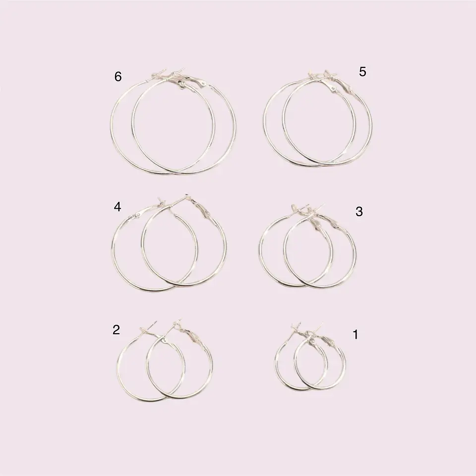 Brinco argolas prata 2