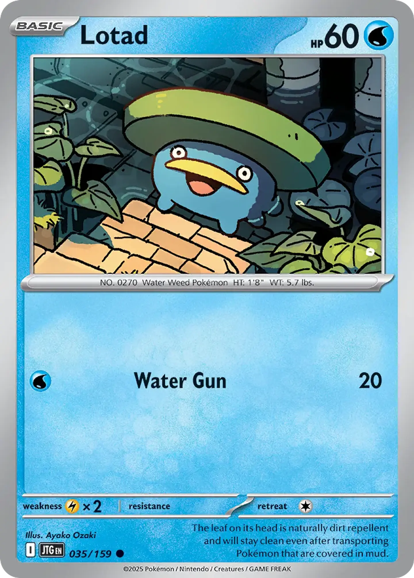 Lotad - 035/159 - Common 1