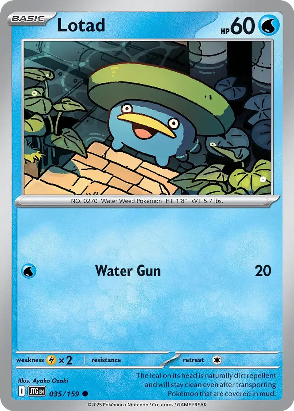 Lotad - 035/159 - Common 1