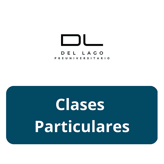 Clases particulares -  1° a 4° MEDIO 