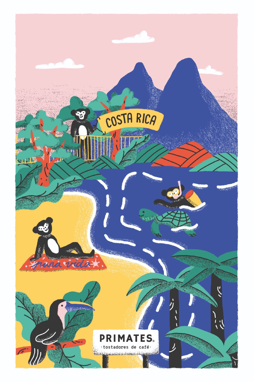 Costa Rica - 250grs