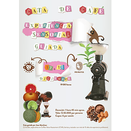 CATA DE CAFÉ MIERCOLES 17 DICIEMBRE MONKY COFFEE