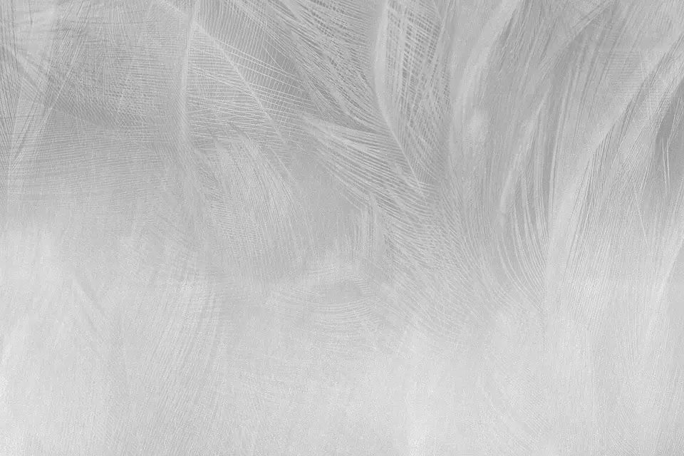 Plumas Grises 2