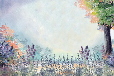 Lavanda en el campo