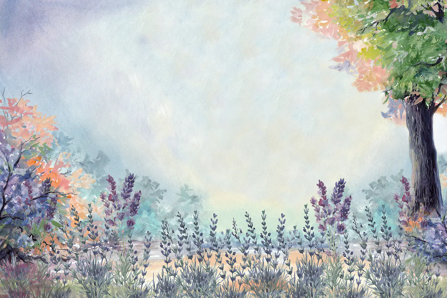 Lavanda en el campo 2