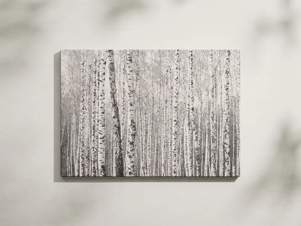 Abedules 1