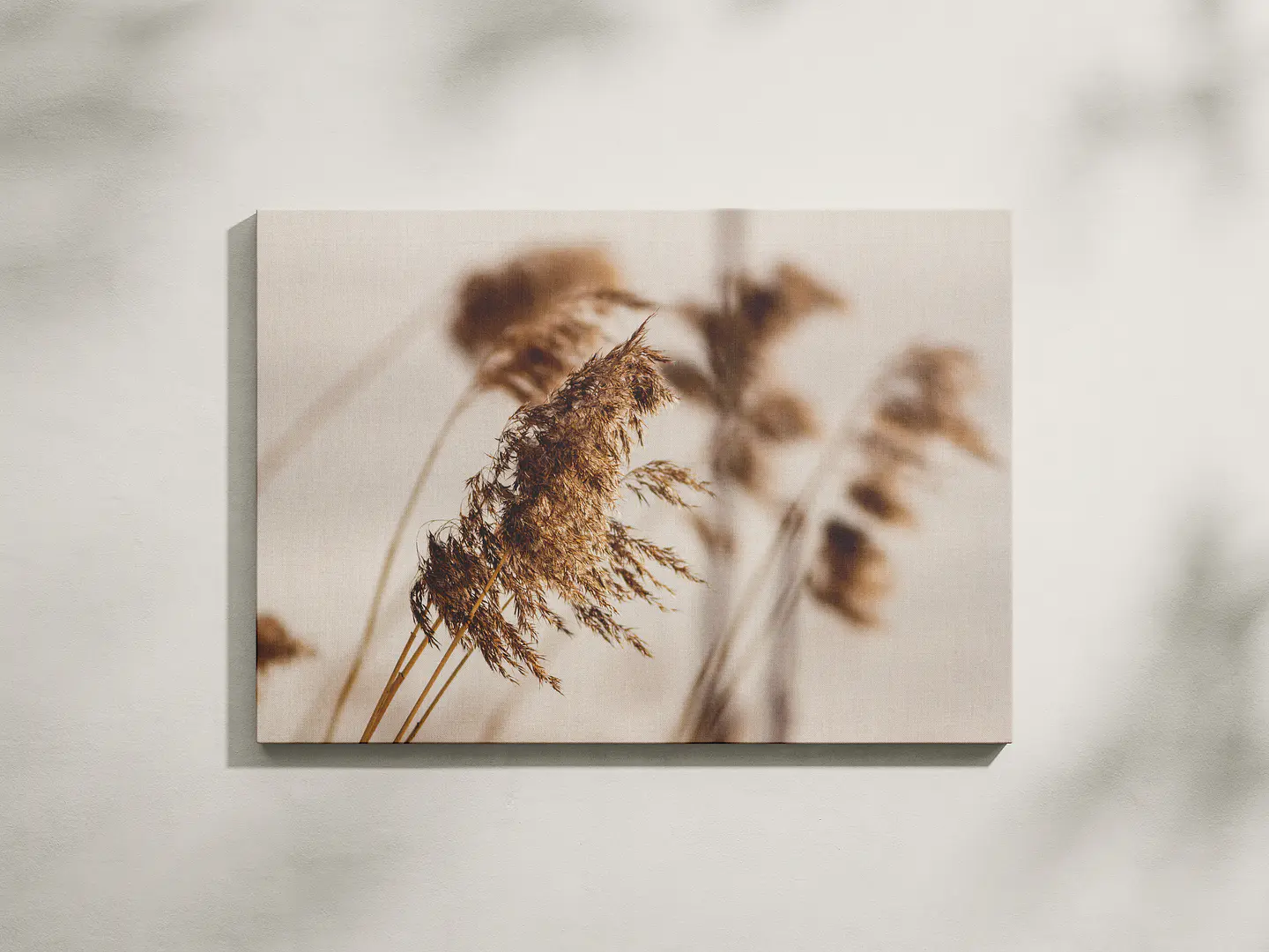 Espigas al viento 1