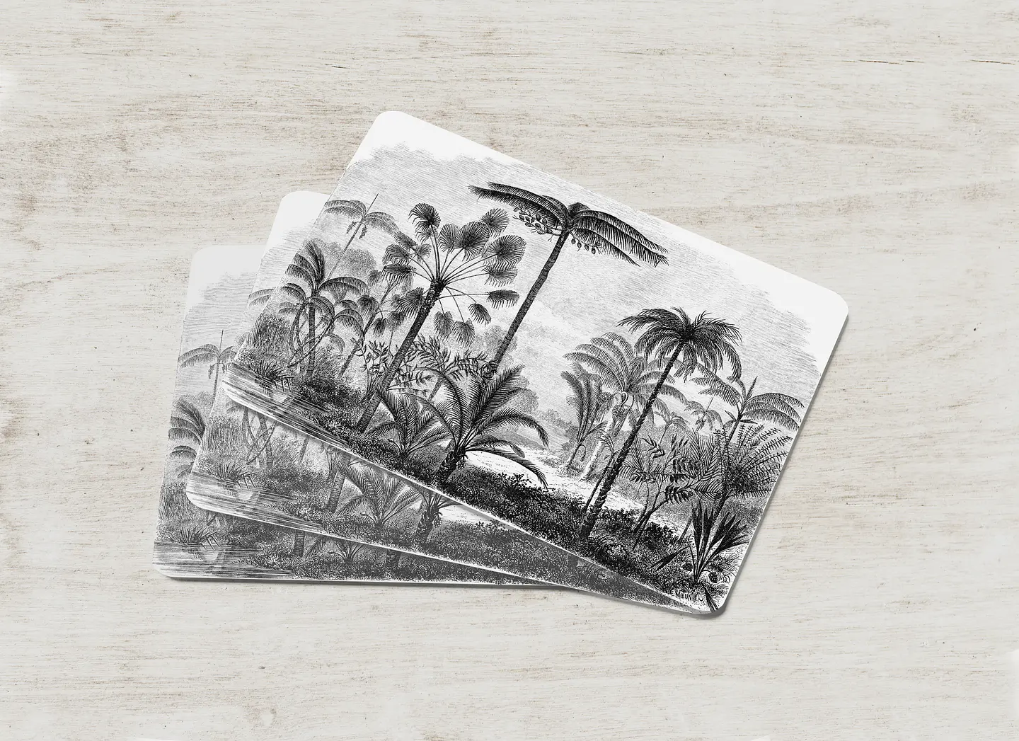 Individual Palma del Amazonas 1