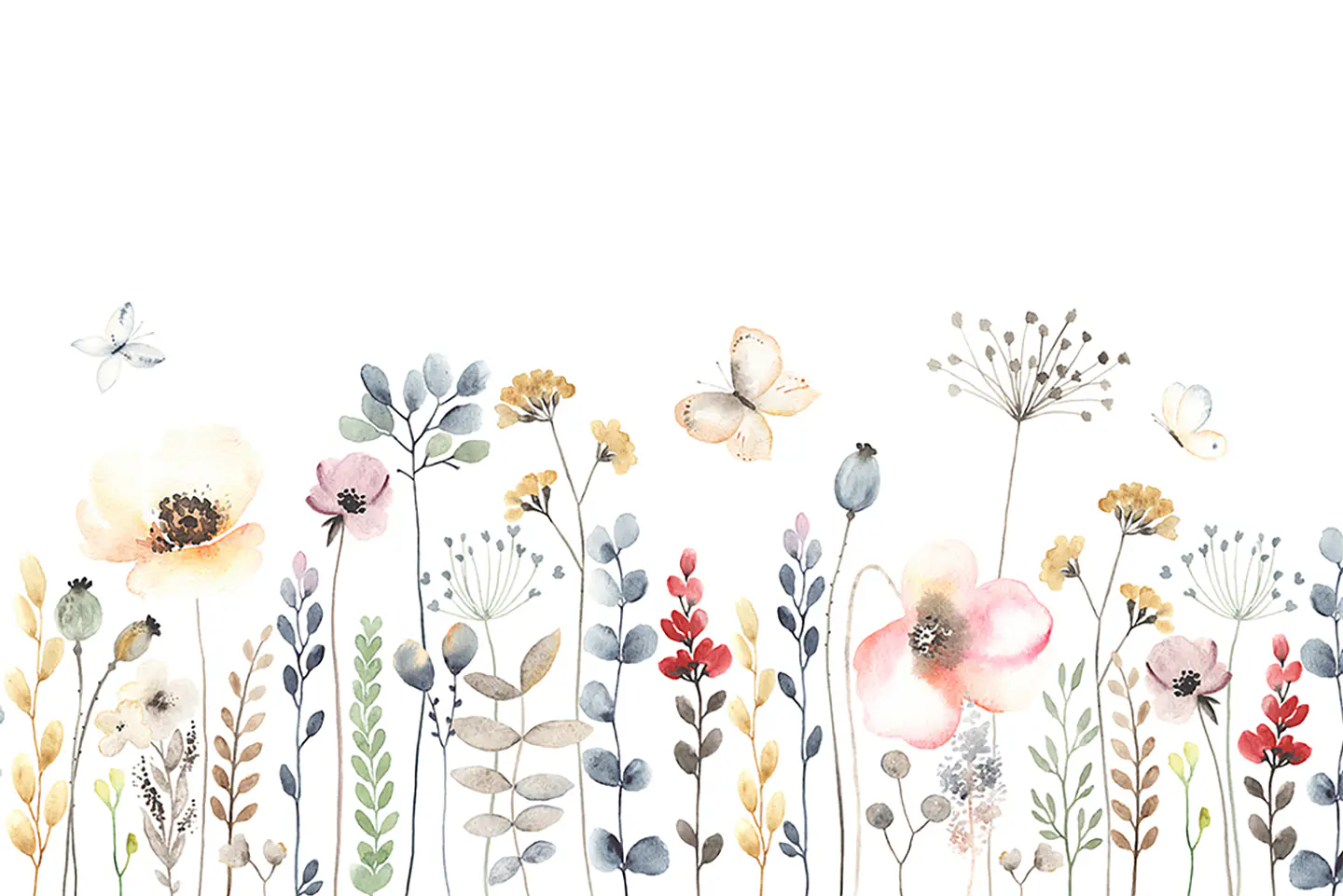 Flores Silvestres  3