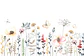 Flores Silvestres  - Miniatura 3