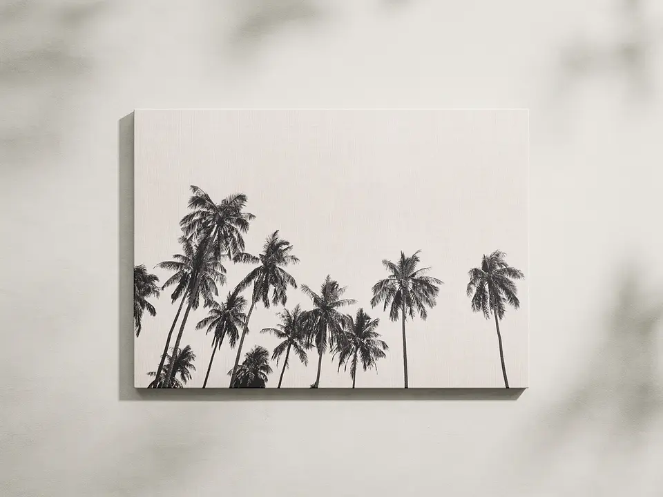 Palmas de Luz 1