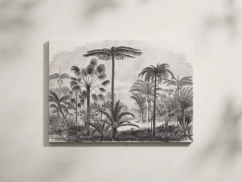 Palma del Amazonas