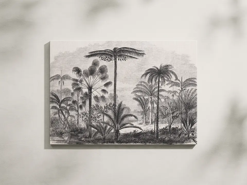Palma del Amazonas 1