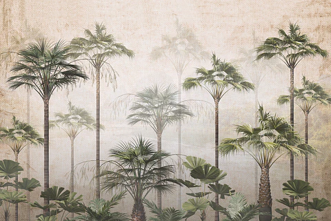 Foggy Forest