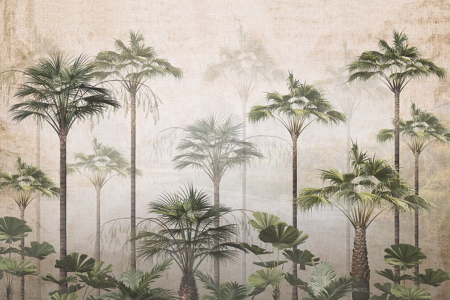 Foggy Forest 2