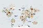 Mapamundi Animales - Miniatura 2