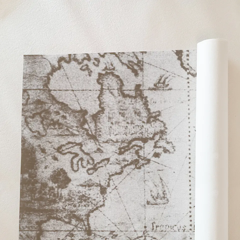 Vintage Map 3