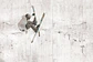 Tablitas Ski - Miniatura 2