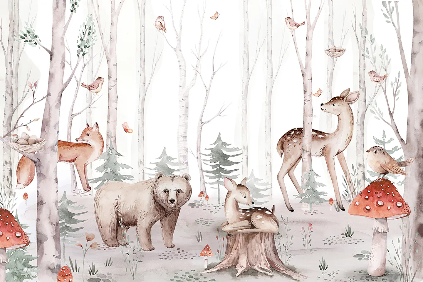 Bosque de Verano 2