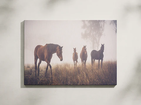 Caballos en la Bruma