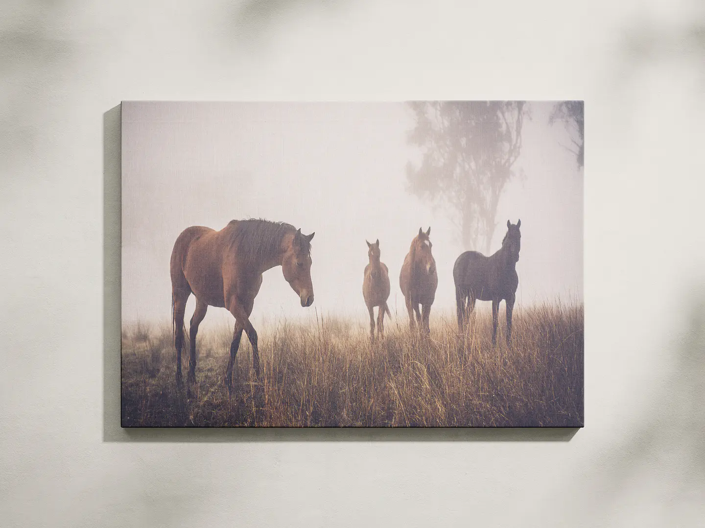 Caballos en la Bruma 1